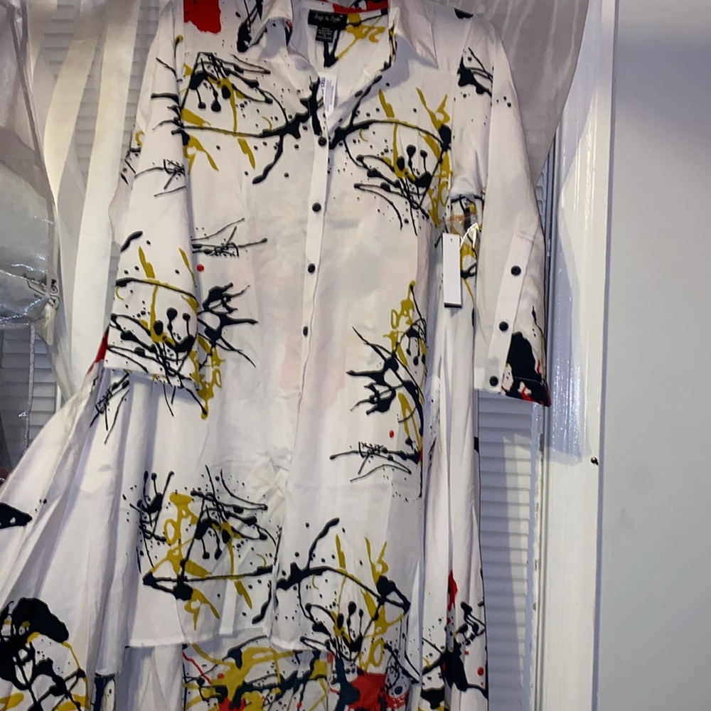 Shirt / dress with swoop back.  Stylish and fun